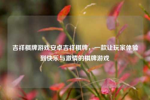 吉祥棋牌游戏安卓吉祥棋牌，一款让玩家体验到快乐与激情的棋牌游戏