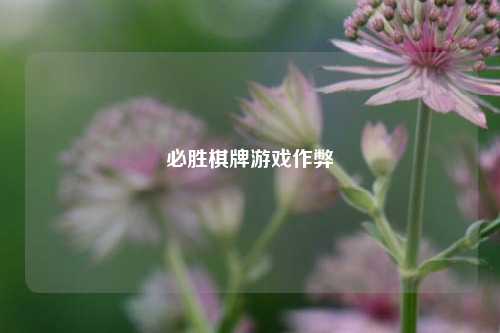 必胜棋牌游戏作弊