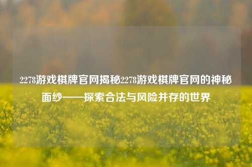 2278游戏棋牌官网揭秘2278游戏棋牌官网的神秘面纱——探索合法与风险并存的世界