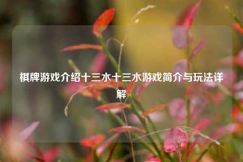 棋牌游戏介绍十三水十三水游戏简介与玩法详解
