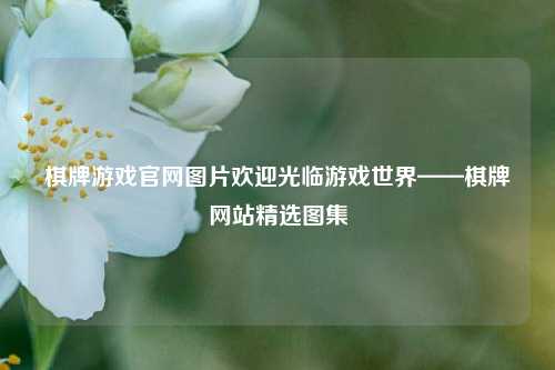 棋牌游戏官网图片欢迎光临游戏世界——棋牌网站精选图集