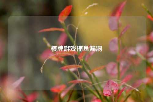 棋牌游戏捕鱼漏洞