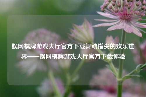 娱网棋牌游戏大厅官方下载舞动指尖的欢乐世界——娱网棋牌游戏大厅官方下载体验