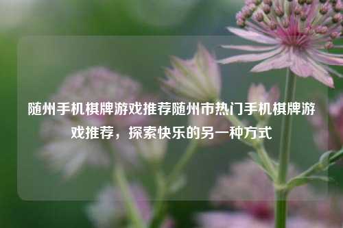 随州手机棋牌游戏推荐随州市热门手机棋牌游戏推荐，探索快乐的另一种方式