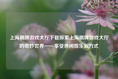 上海棋牌游戏大厅下载探索上海棋牌游戏大厅的奇妙世界——享受休闲娱乐新方式