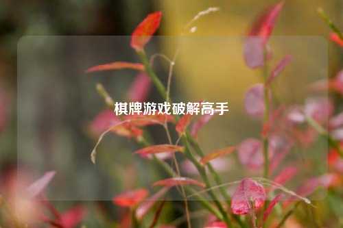 棋牌游戏破解高手