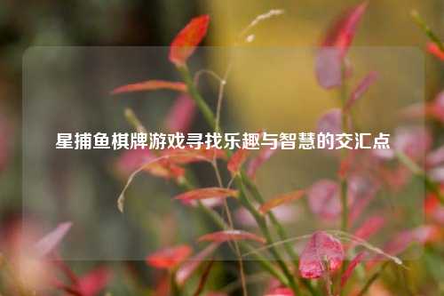 星捕鱼棋牌游戏寻找乐趣与智慧的交汇点