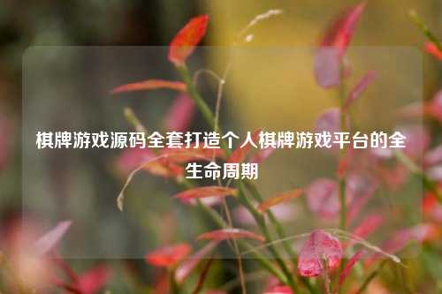 棋牌游戏源码全套打造个人棋牌游戏平台的全生命周期