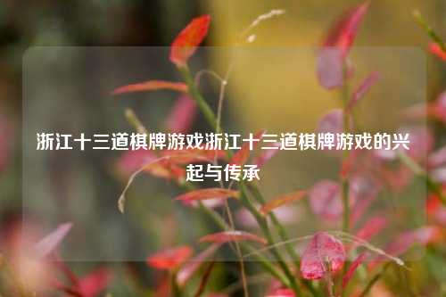 浙江十三道棋牌游戏浙江十三道棋牌游戏的兴起与传承