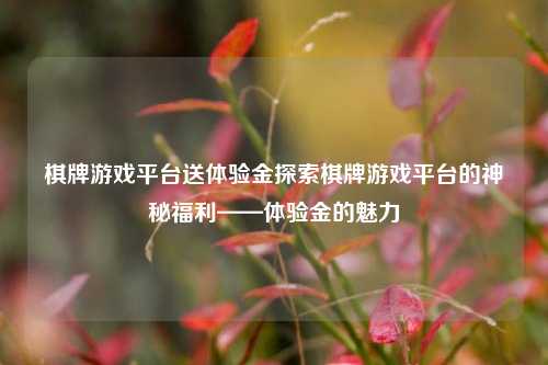 棋牌游戏平台送体验金探索棋牌游戏平台的神秘福利——体验金的魅力