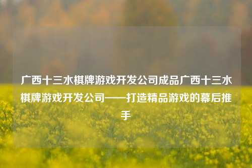 广西十三水棋牌游戏开发公司成品广西十三水棋牌游戏开发公司——打造精品游戏的幕后推手