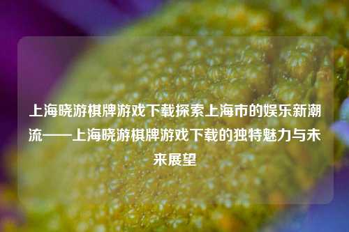 上海晓游棋牌游戏下载探索上海市的娱乐新潮流——上海晓游棋牌游戏下载的独特魅力与未来展望