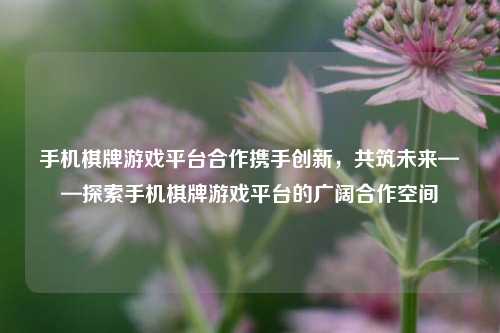 手机棋牌游戏平台合作携手创新，共筑未来——探索手机棋牌游戏平台的广阔合作空间
