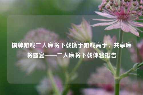 棋牌游戏二人麻将下载携手游戏高手，共享麻将盛宴——二人麻将下载体验报告