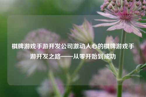 棋牌游戏手游开发公司激动人心的棋牌游戏手游开发之路——从零开始到成功