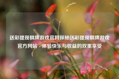 送彩提现棋牌游戏官网探秘送彩提现棋牌游戏官方网站 - 体验快乐与收益的双重享受
