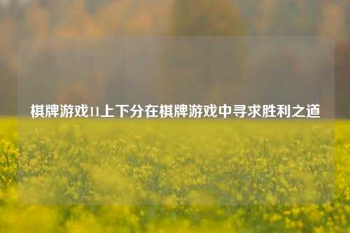 棋牌游戏11上下分在棋牌游戏中寻求胜利之道