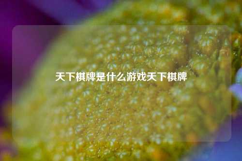 天下棋牌是什么游戏天下棋牌