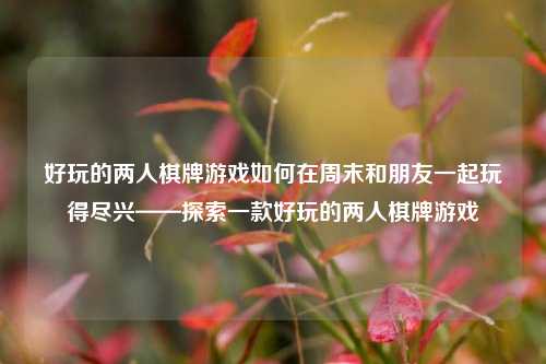 好玩的两人棋牌游戏如何在周末和朋友一起玩得尽兴——探索一款好玩的两人棋牌游戏