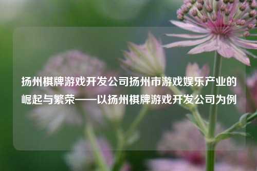 扬州棋牌游戏开发公司扬州市游戏娱乐产业的崛起与繁荣——以扬州棋牌游戏开发公司为例