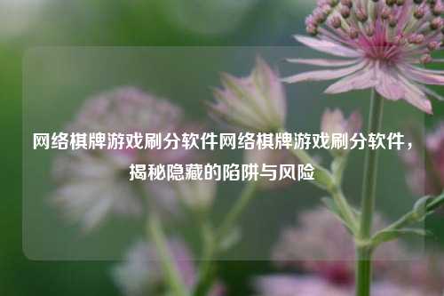 网络棋牌游戏刷分软件网络棋牌游戏刷分软件，揭秘隐藏的陷阱与风险