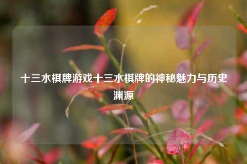 十三水棋牌游戏十三水棋牌的神秘魅力与历史渊源