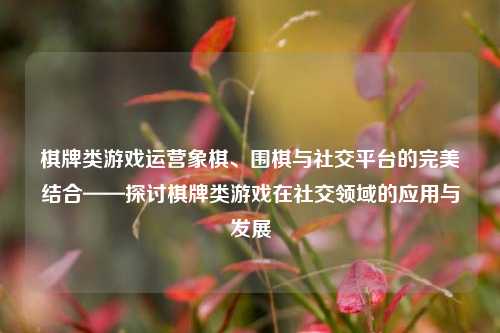 棋牌类游戏运营象棋、围棋与社交平台的完美结合——探讨棋牌类游戏在社交领域的应用与发展
