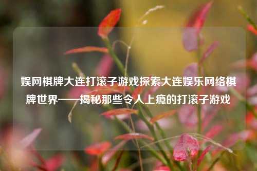 娱网棋牌大连打滚子游戏探索大连娱乐网络棋牌世界——揭秘那些令人上瘾的打滚子游戏