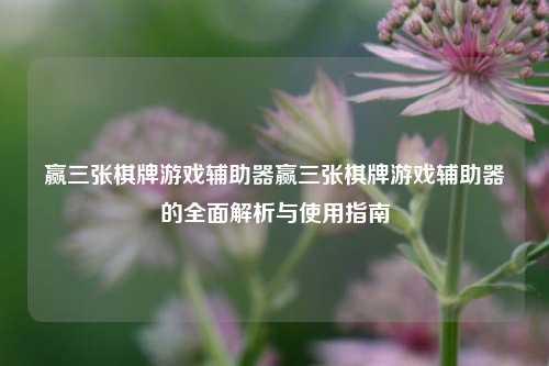赢三张棋牌游戏辅助器赢三张棋牌游戏辅助器的全面解析与使用指南