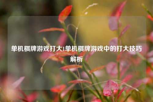 单机棋牌游戏打大1单机棋牌游戏中的打大技巧解析