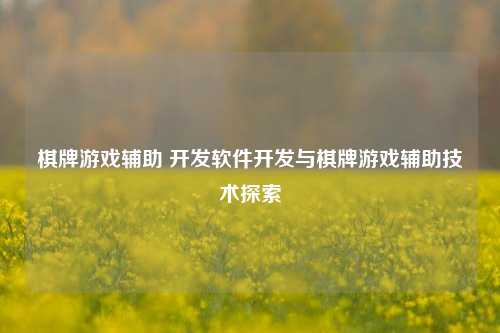 棋牌游戏辅助 开发软件开发与棋牌游戏辅助技术探索