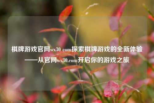 棋牌游戏官网wx30 com探索棋牌游戏的全新体验——从官网wx30.com开启你的游戏之旅