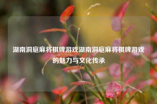 湖南洞庭麻将棋牌游戏湖南洞庭麻将棋牌游戏的魅力与文化传承