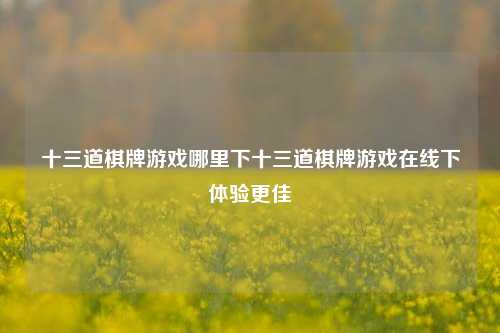 十三道棋牌游戏哪里下十三道棋牌游戏在线下体验更佳