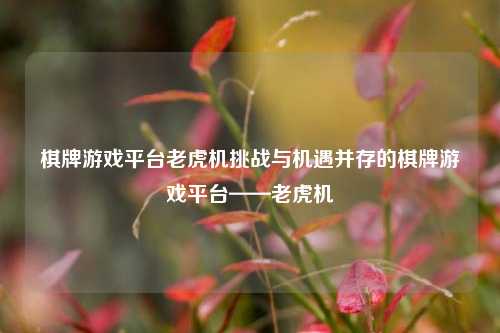 棋牌游戏平台老虎机挑战与机遇并存的棋牌游戏平台——老虎机